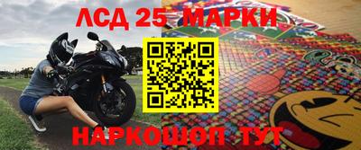 гидропоника Камышлов