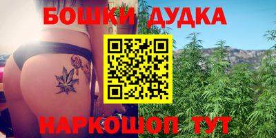гидропоника Камышлов