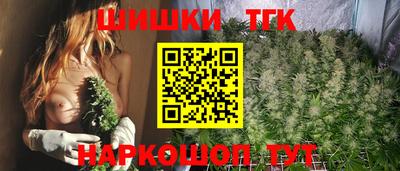 гидропоника Камышлов